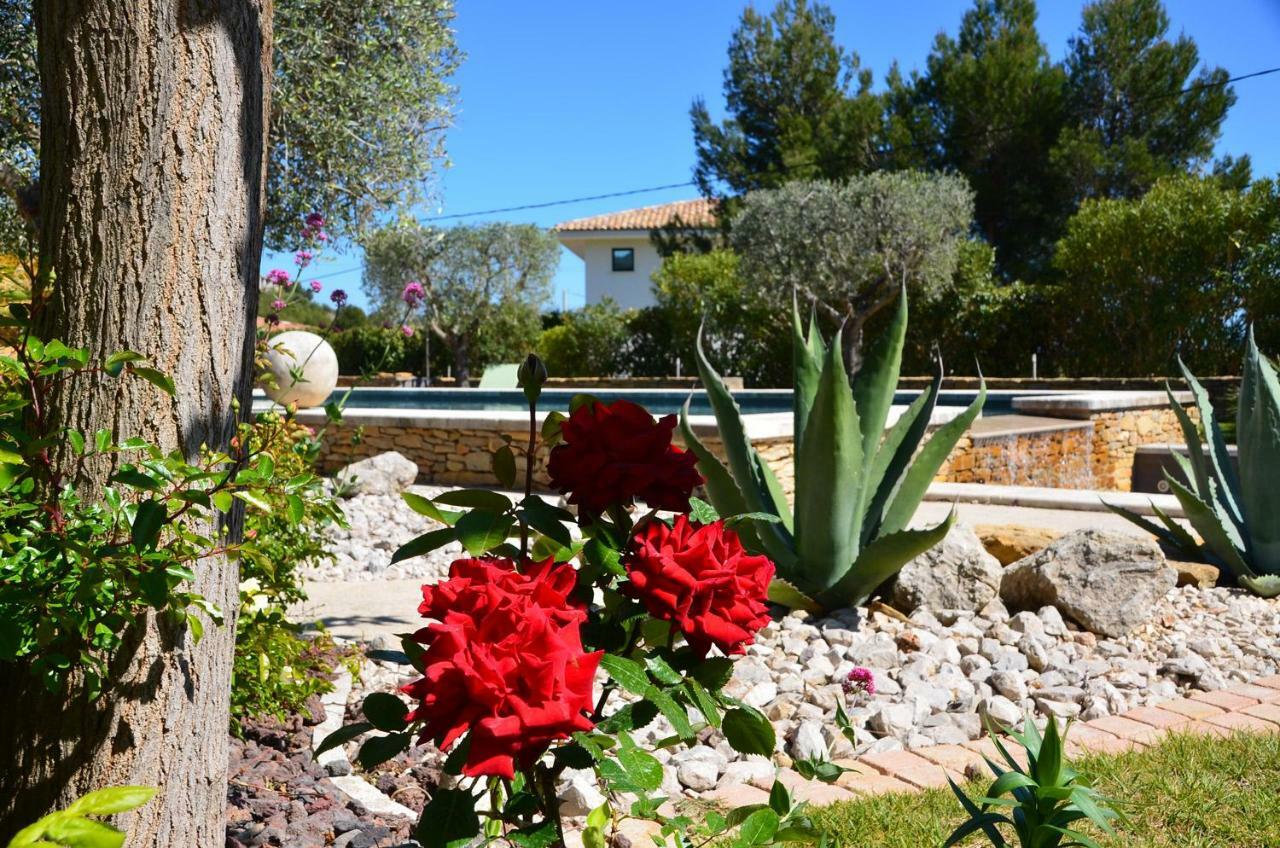 Appartements Du Jas De Clare La Cadière-d'Azur Exterior foto